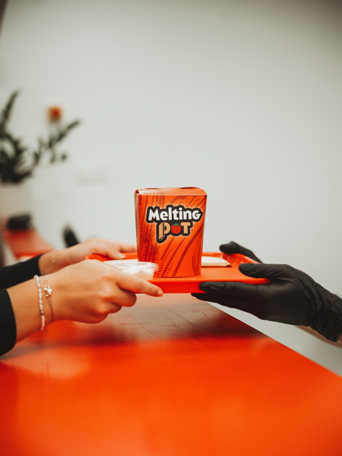 Box de pâtes fraîches Melting Pot tendue au comptoir